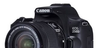 Spesifikasi Kamera Canon EOS 250D
