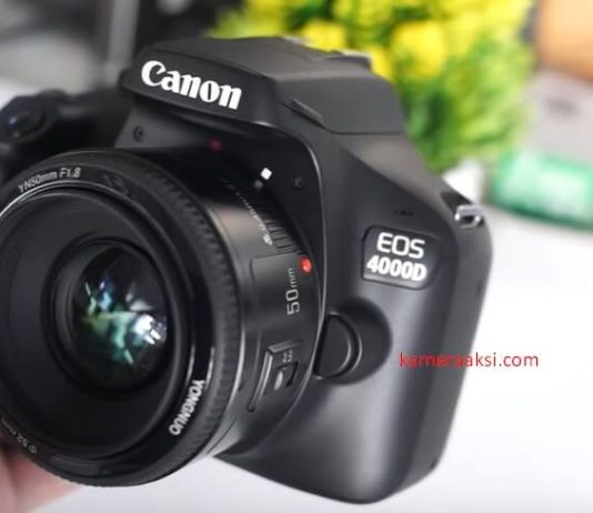 Hasil Foto Canon EOS 4000D Pake Lensa Yongnuo 50mm F1.8 Review Hasil Foto Canon EOS 3000d 4000d